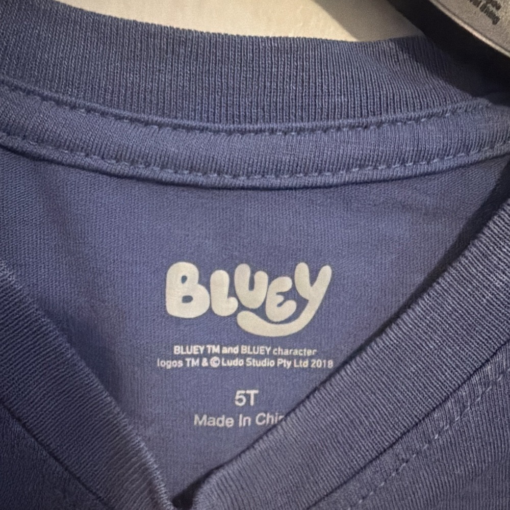 Bluey Bingo Graphic Cotton Crew Neck Short Sleeve T-Shirt Blue 5T - Picture 2 of 8